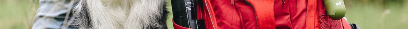 Why dog rucksacks are the next must-have in your pet retail range