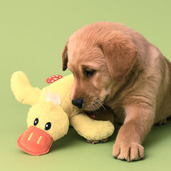 Collection image for: Soft & Squeak Toys