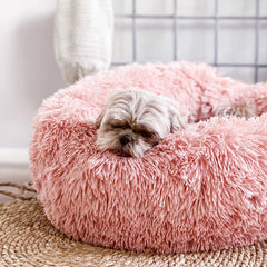Collection image for: Dogs beds