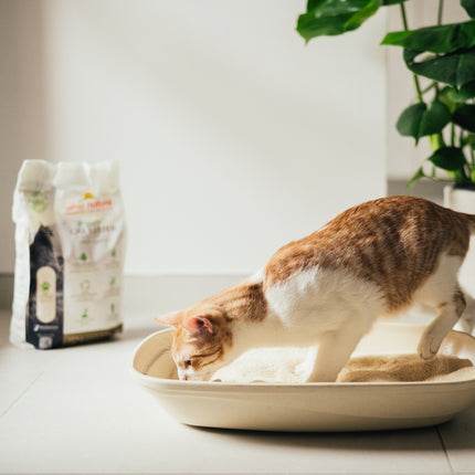 Almo Nature Kattenbakvulling - Soft Texture
