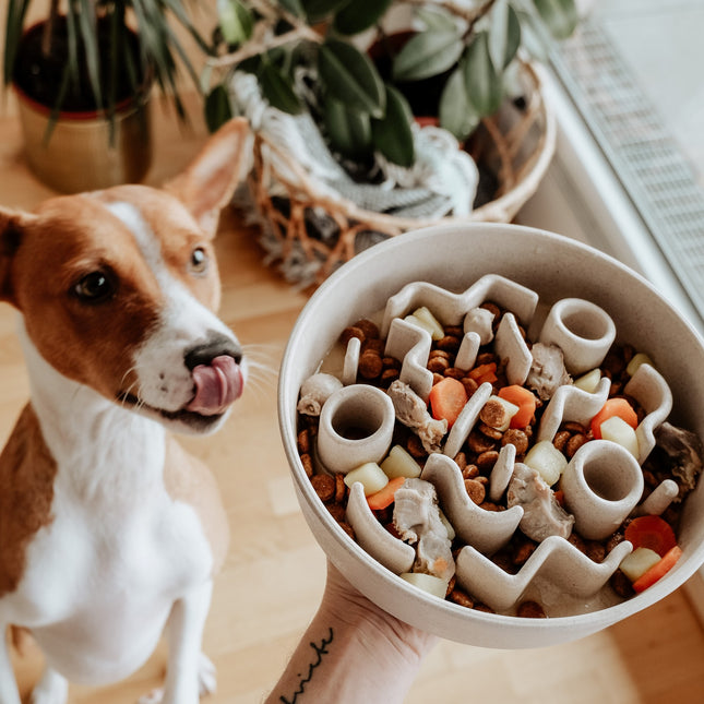 District 70 BAMBOO Slow Feeder voor Honden