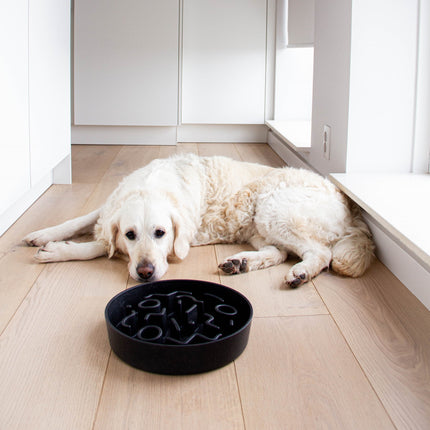 District 70 BAMBOO Slow Feeder voor Honden