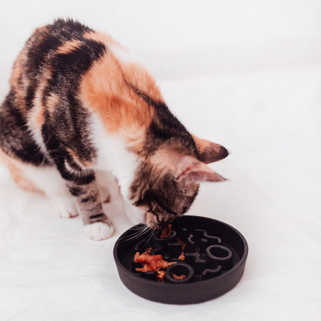 District 70 BAMBOO Slow Feeder voor Katten