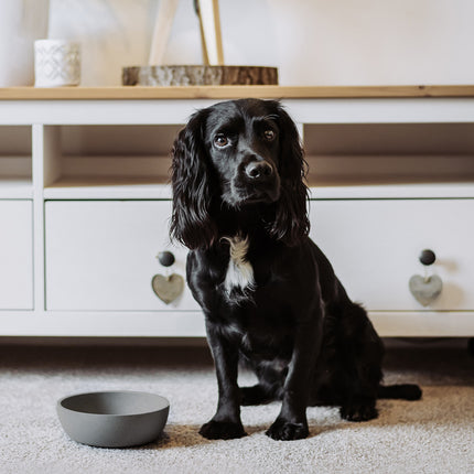 District 70 BAMBOO Voerbak voor Honden