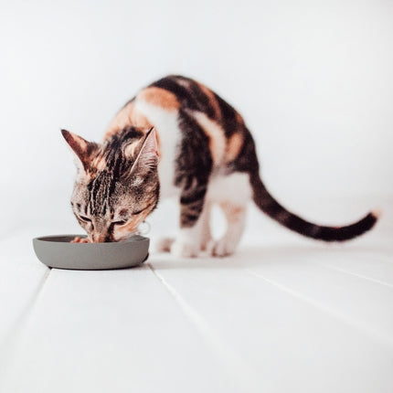 District 70 BAMBOO Voerbak voor Katten