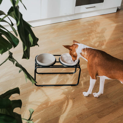 District 70 BUTLER Voerbakstandaard voor honden