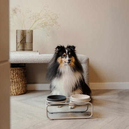 District 70 BUTLER Voerbakstandaard voor honden