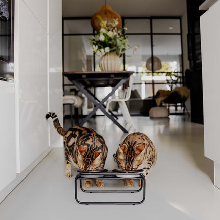 District 70 BUTLER Voerbakstandaard voor katten