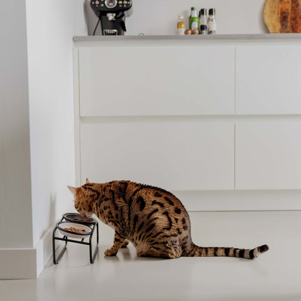 District 70 BUTLER Voerbakstandaard voor katten