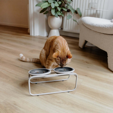 District 70 BUTLER Voerbakstandaard voor katten