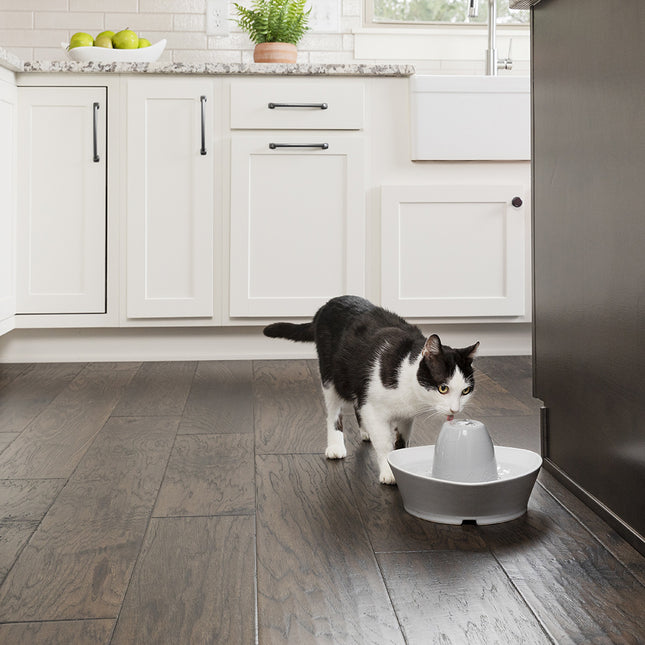 Drinkwell Streamside Ceramic Pet Fountain - 1.8 L