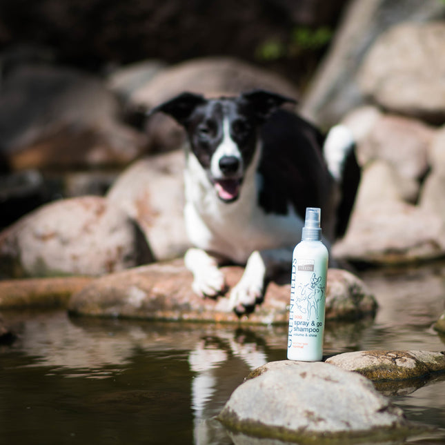Greenfields Dog Spray & Go Shampoo 270 ml