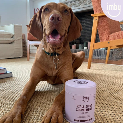Imby Hip & Joint Supplement voor honden
