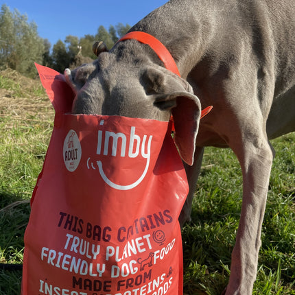 Imby Insect-based Dry Food - Maxi