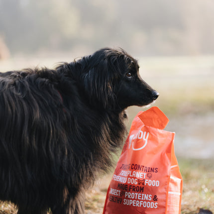 Imby Insect-based Dry Food - Medium