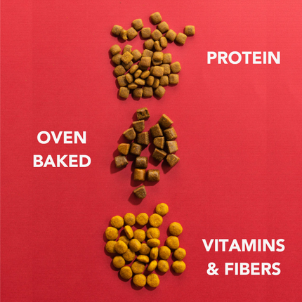 Imby Insect-based Dry Food - Senior