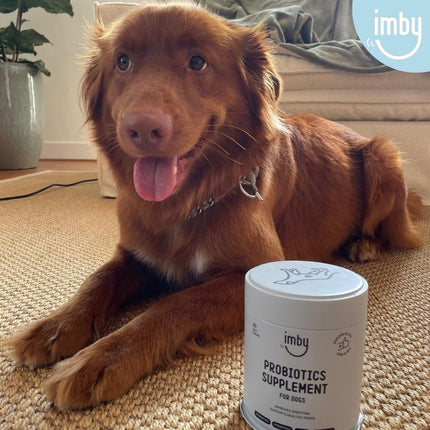 Imby Probiotics Supplement voor honden