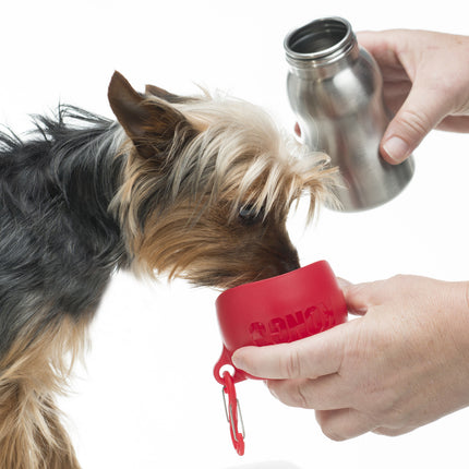 Kong H2O Stainless Steel Water Bottle