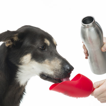 Kong H2O Stainless Steel Water Bottle
