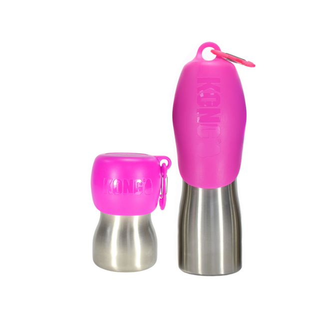 Kong H2O Stainless Steel Water Bottle