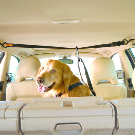 Kurgo Auto Zip Line For Dogs
