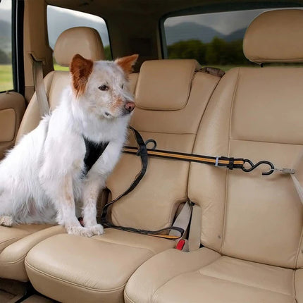 Kurgo Auto Zip Line For Dogs