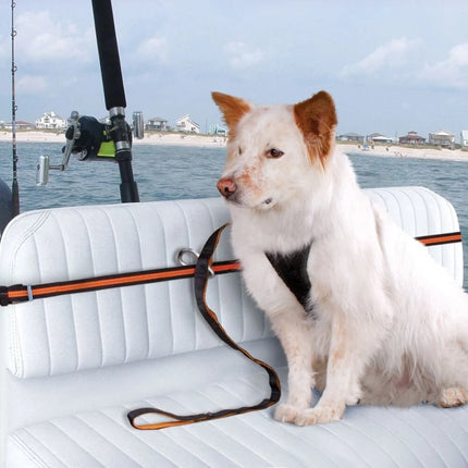 Kurgo Auto Zip Line For Dogs