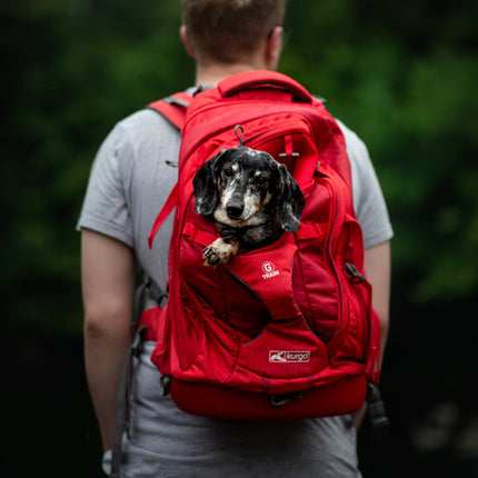G-Train Dog Carrier Backpack Red