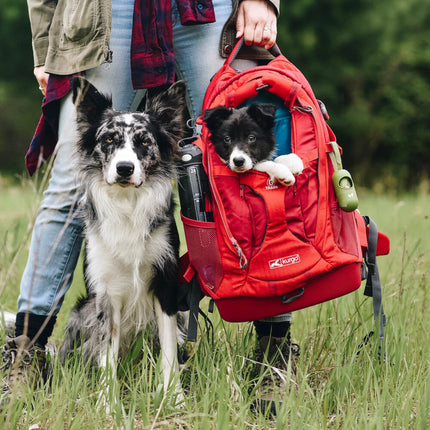 G-Train Dog Carrier Backpack Red