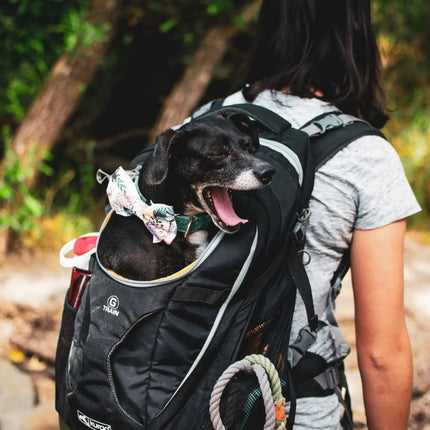 G-Train Dog Carrier Backpack Black