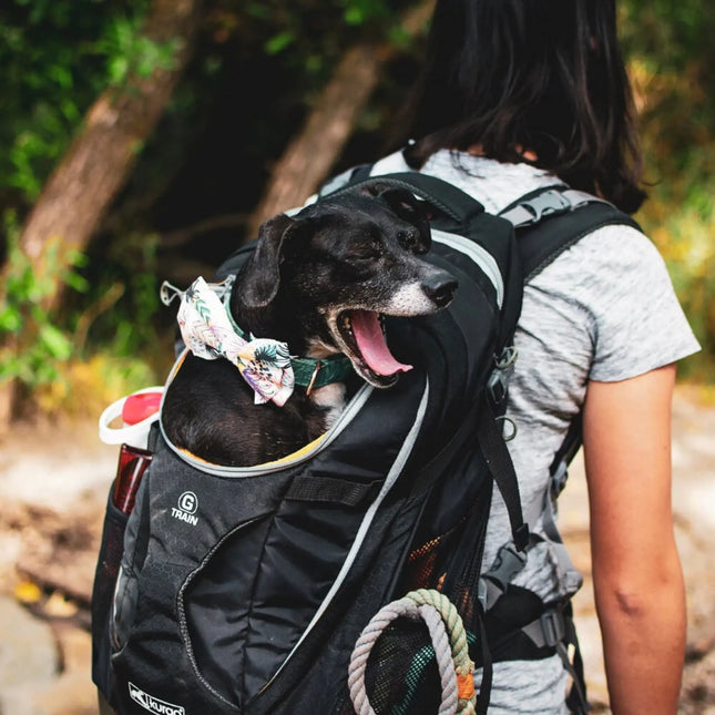 G-Train Dog Carrier Backpack Black