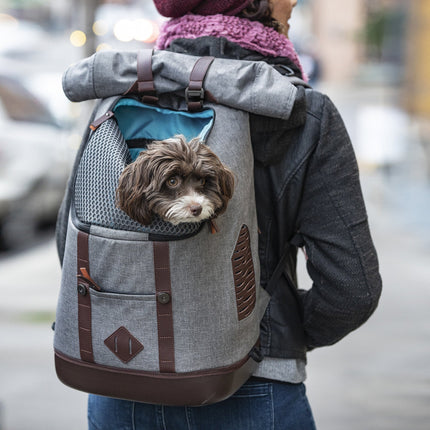 Classy dog rucksack