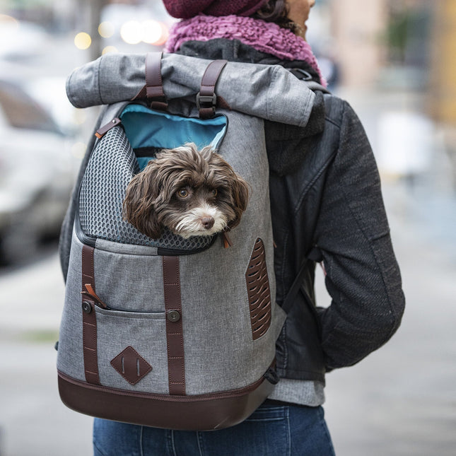 Classy dog rucksack