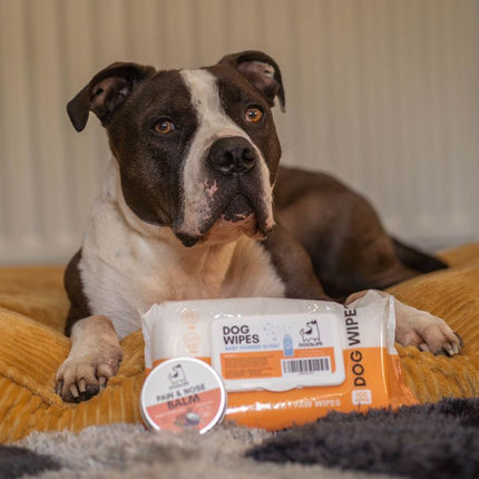 OurDogsLife Dog Grooming Wipes