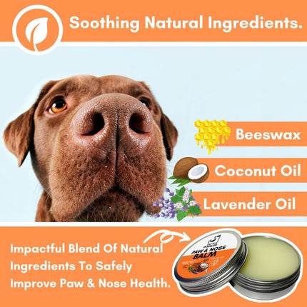 OurDogsLife Paw & Nose Balm