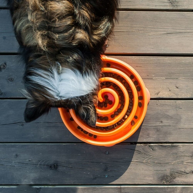 Outward Hound Fun Feeder