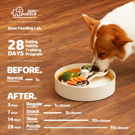 Pet Future Puzzle Feeder - Lick Bowl