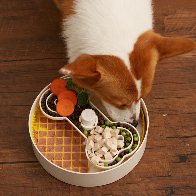 Pet Future Puzzle Feeder - Lick Bowl
