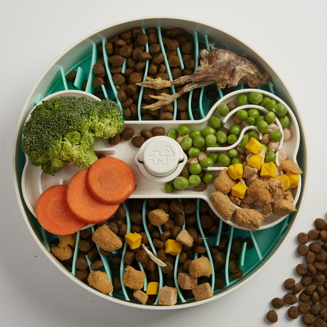 Pet Future Puzzle Feeder - Slow Feeder