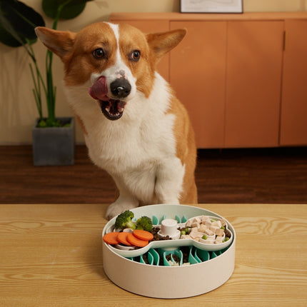 Pet Future Puzzle Feeder - Slow Feeder