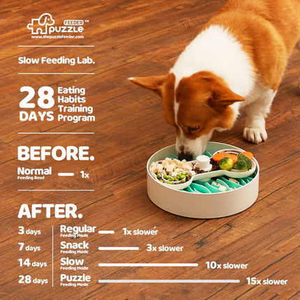 Pet Future Puzzle Feeder - Slow Feeder