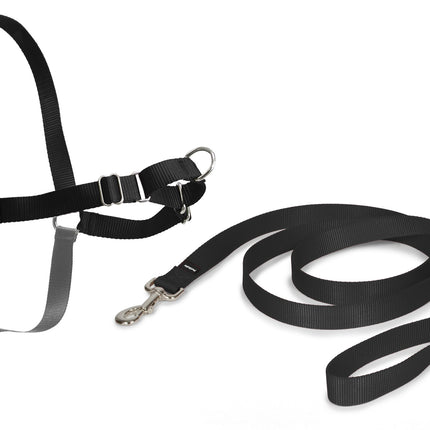 PetSafe Easy Walk  Harness