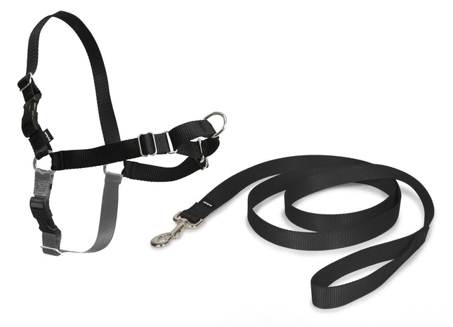 PetSafe Easy Walk  Harness