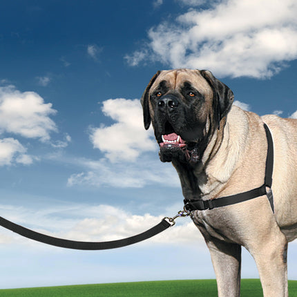 PetSafe Easy Walk  Harness