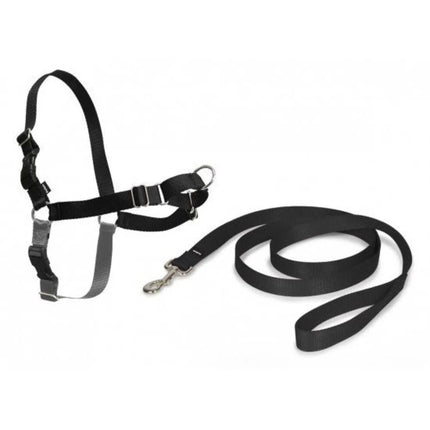 PetSafe Easy Walk  Harness