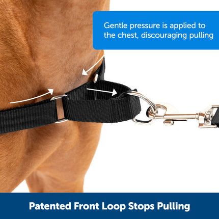 PetSafe Easy Walk  Harness