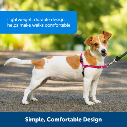PetSafe Easy Walk  Harness