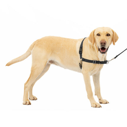 PetSafe Easy Walk  Harness