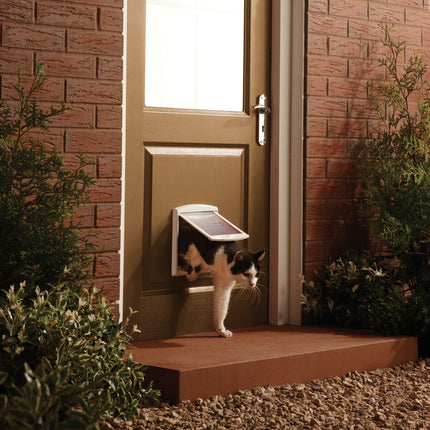 PetSafe Staywell® Original 2-Way Pet Door