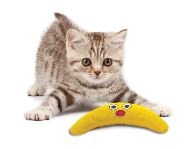 Petstages Catnip Boomerang Buddy